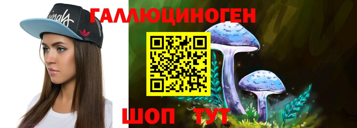 Тихвин  Псилоцибиновые грибы Cubensis  Галлюциногенные грибы MAGIC MUSHROOMS  Вход с VPN 